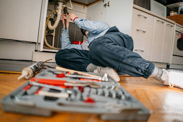 Best Water Leak Repair  in Shoh, IL