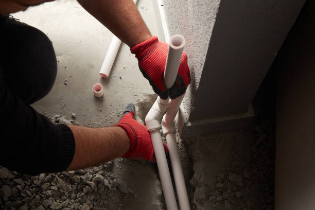 Best Clogged Drain Plumber  in Shoh, IL
